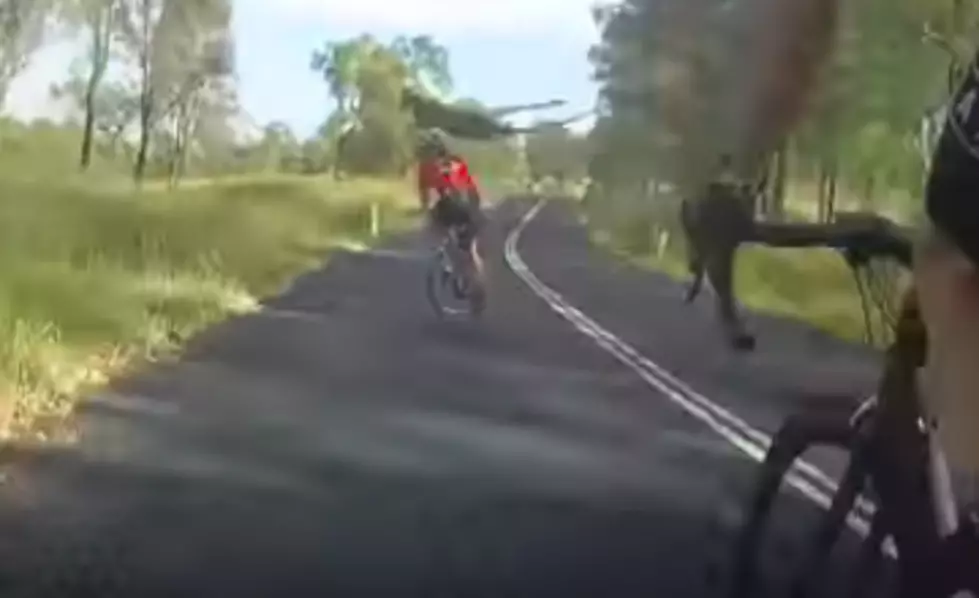 Cyclist Gets Obliterated by Flying Kangaroo [VIDEO]