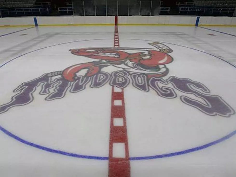 Mudbugs Goalie Out After Getting Injury During Fight