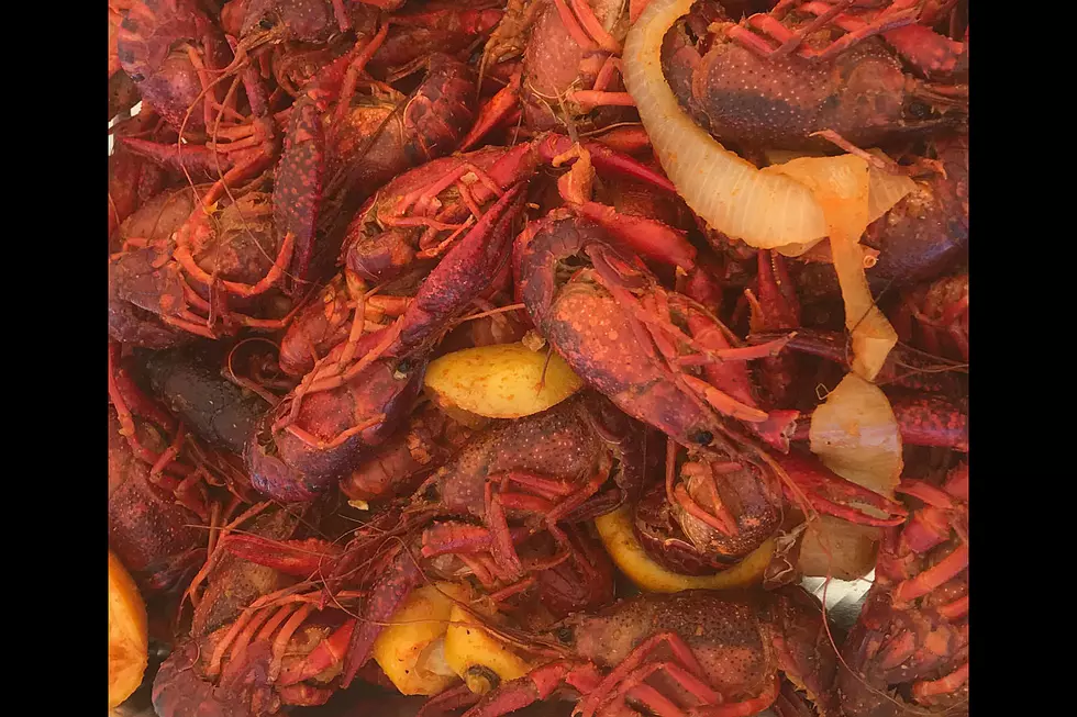 Will Cold Weather in Shreveport- Bossier Kill Our Crawfish Season