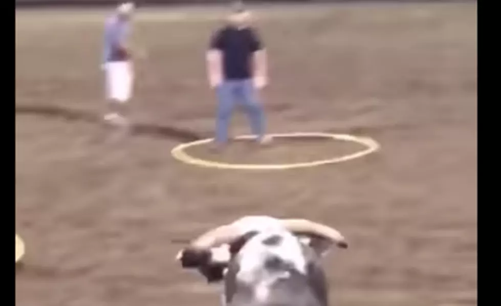 Idiot Guys Play “Last Man Standing” With Vicious Bull [VIDEO]