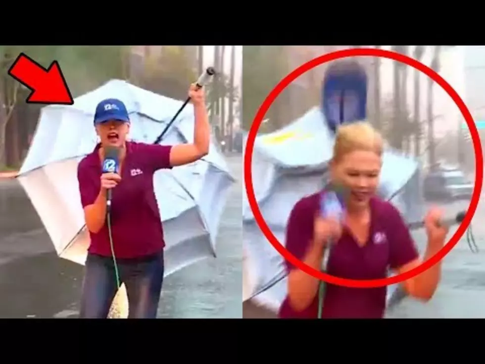 News Reporter and Her Umbrella Lose Battle With Wind [VIDEO]
