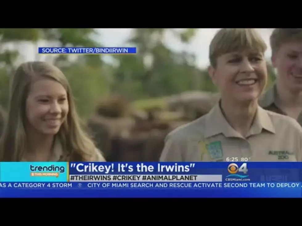 The Irwin’s are Back With a New TV Show