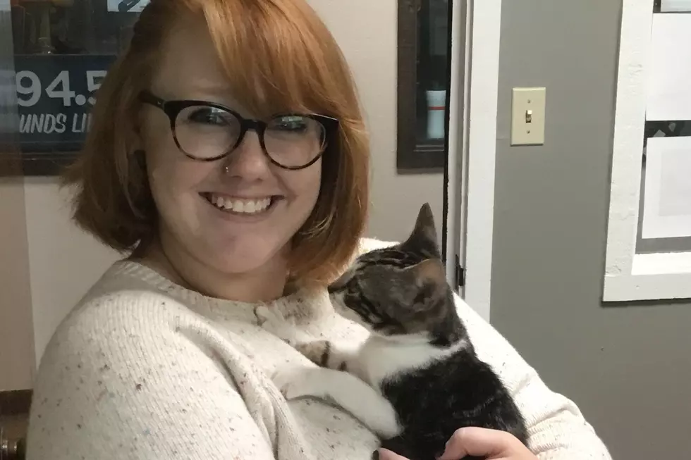 What Should We Name Ginger’s New Cat? [POLL]