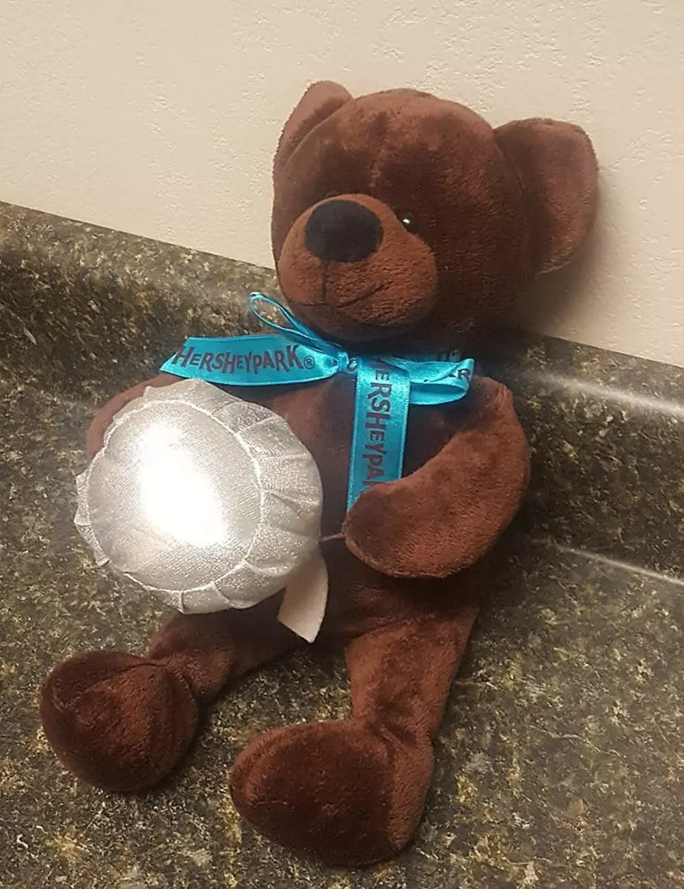 Help Us Find This Teddy Bear&#8217;s Owner