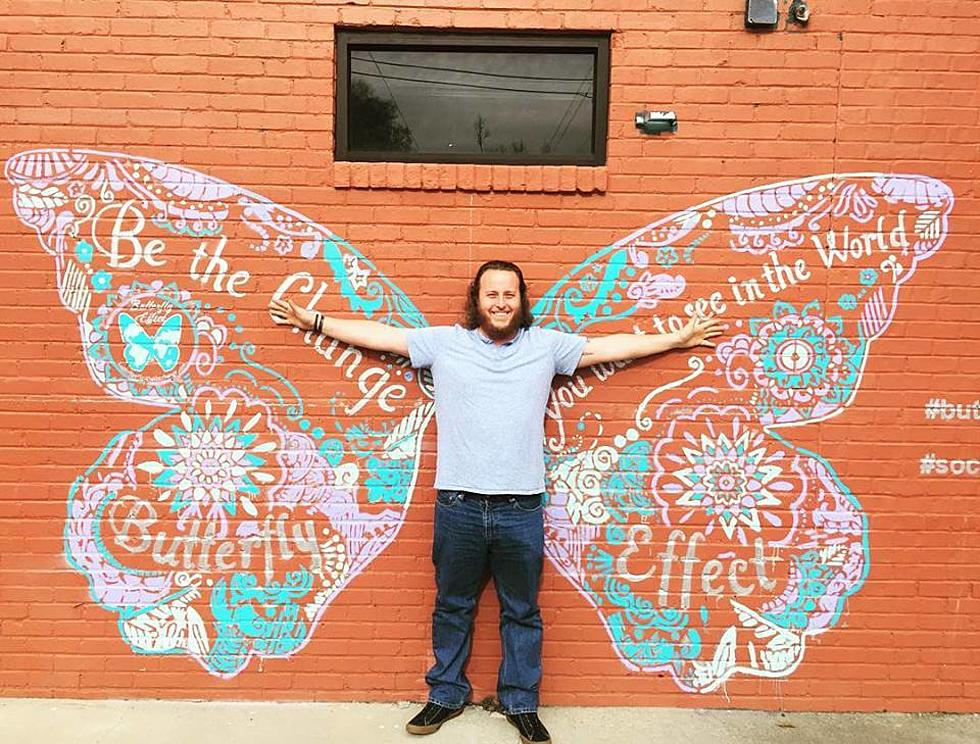 Have You Seen the Butterfly Effect Project in Shreveport?
