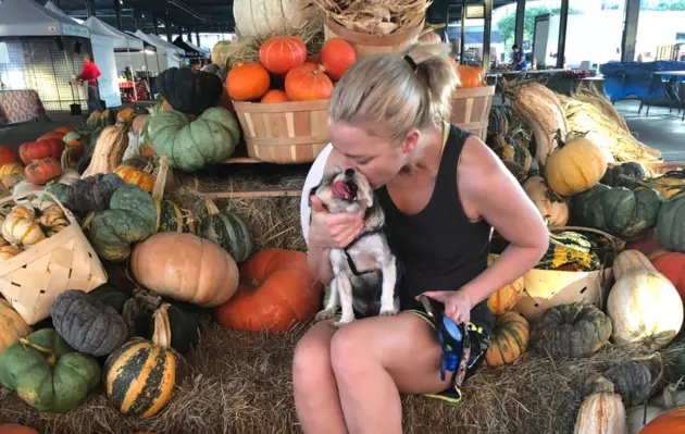 Where to Find the Best Pumpkin Patch in Louisiana