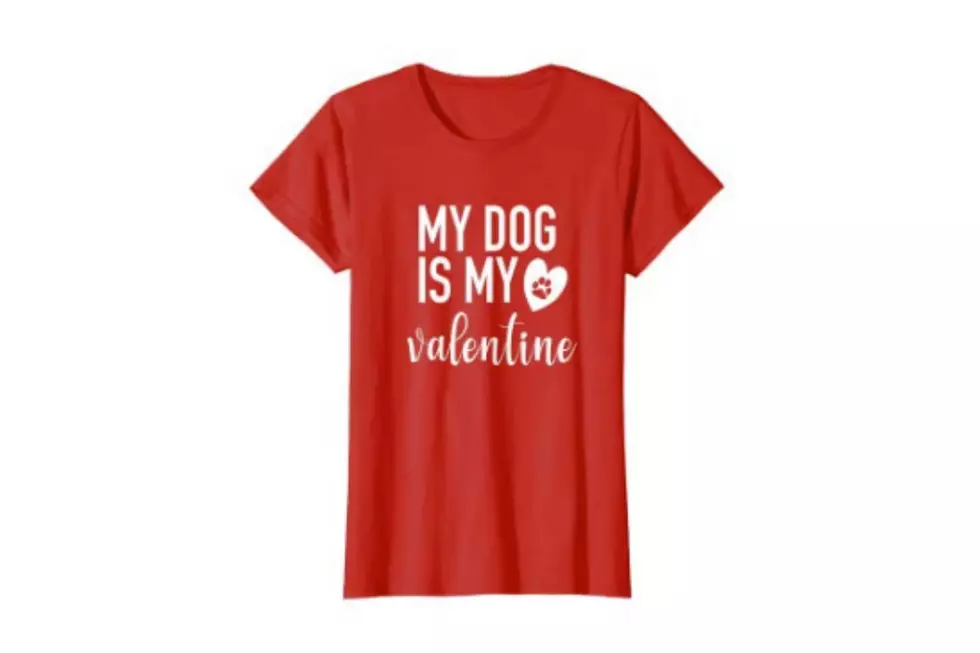 Make Your Dog Your Valentine This Year