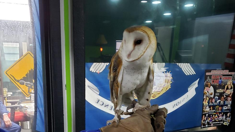 Owl Night at WBJ Memorial Nature Park
