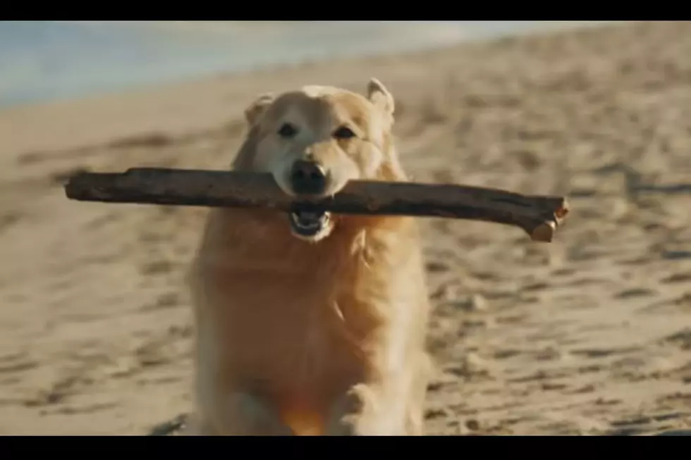 Man Purchases $6M Super Bowl Ad to Thank Veterinarians