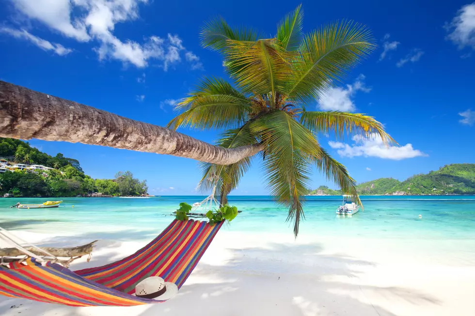 Friendsgiving Island Up for a Week-Long Rental - $350 Per Person!