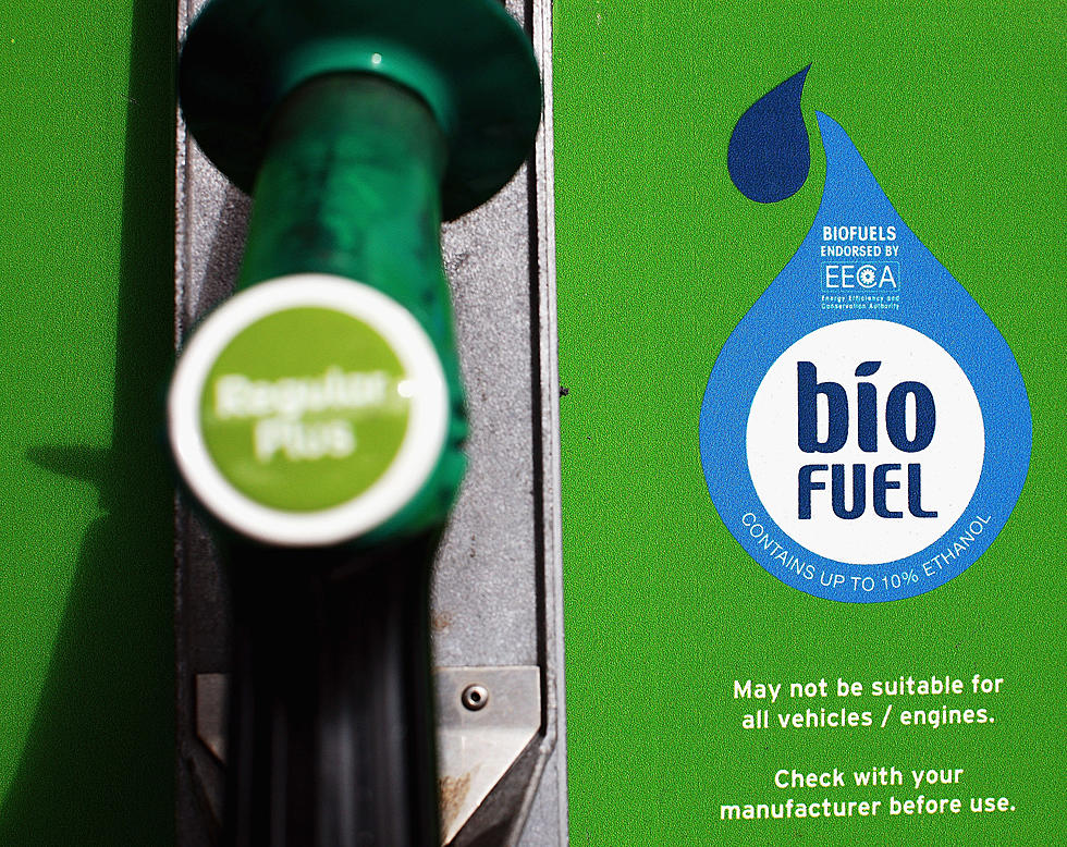 Huge Biofuel Plant Making ‘Green Diesel’ Is Being Built in Monroe
