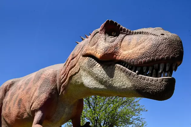 Summer Fun Awaits Your Family at Dinosaur Park in Louisiana