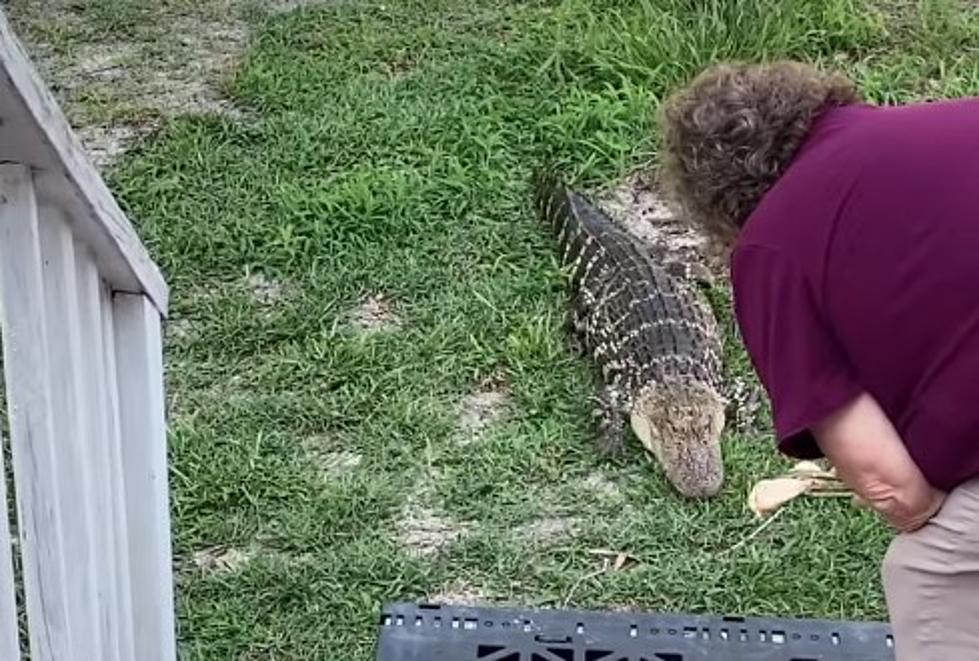 Louisiana Grandma Feeds "Best Friend" [VIDEO]