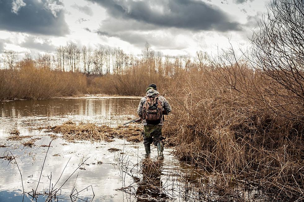 Research Shows Even California Has More Hunters Than Louisiana
