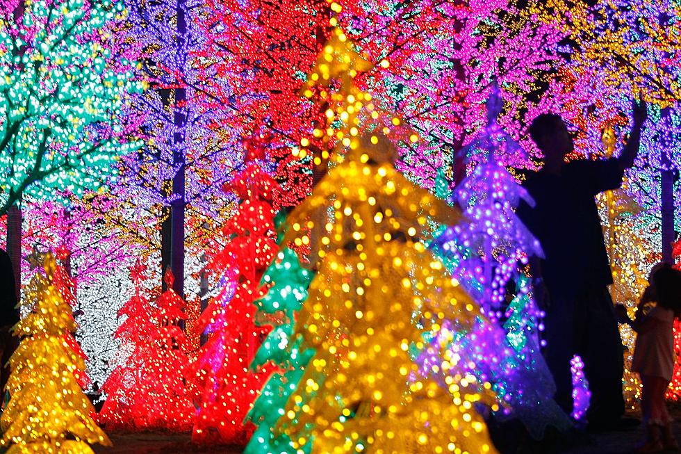 Christmas Trail in Marshall Has Over 10,000 Square Feet Of Lights