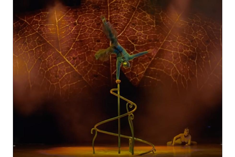Need a Valentine's Date Night Idea? Cirque du Soleil in Bossier