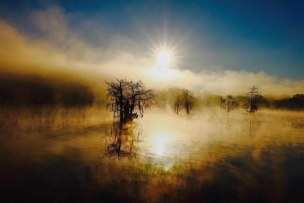 This Louisiana Trail is Bucket List Material