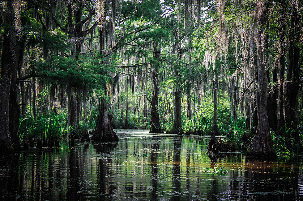The Most Unique and Weirdest Things You Only See in Louisiana