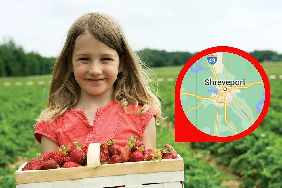 These 2 Berry-Picking Farms are Less Than 50 Mi. From Shreveport