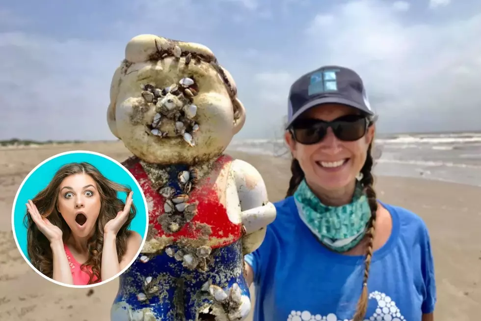 Dozens of Creepy, Barnacle Covered Dolls Found on Texas Beach