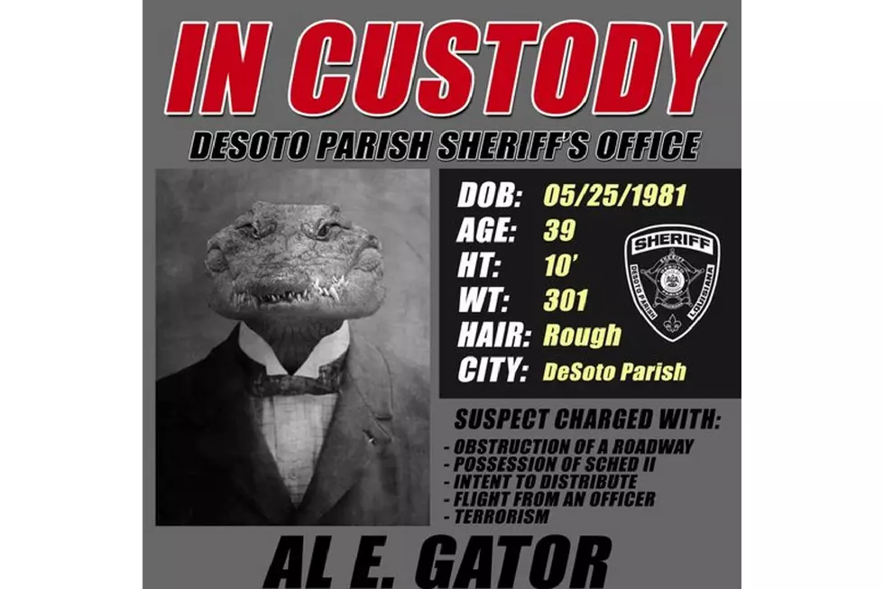 DeSoto Parish Posts Hilarious Arrest Report For Giant Alligator