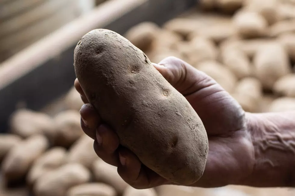 Here Is Why There is a Potato Shortage in Shreveport