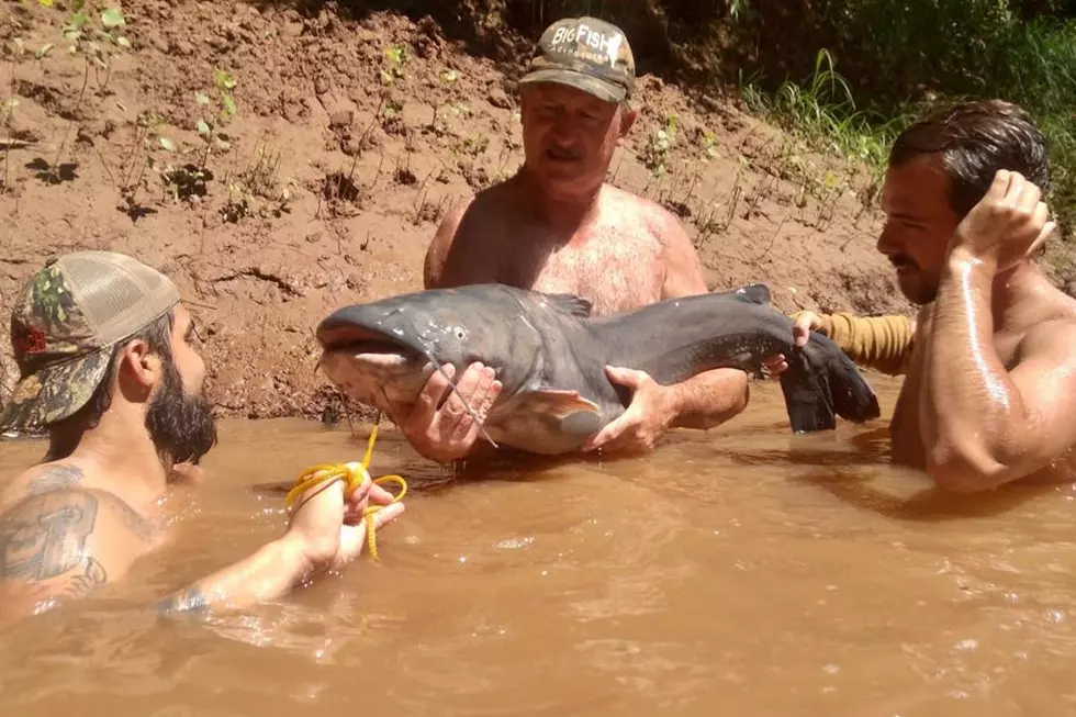 Louisiana Outdoorsmen Rejoice as Catfish Noodling Is Now Legal