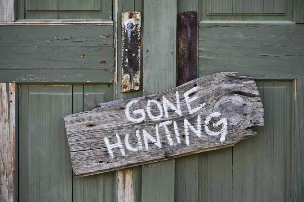 North Louisiana Offers Many Incredible Places To Hunt For Free