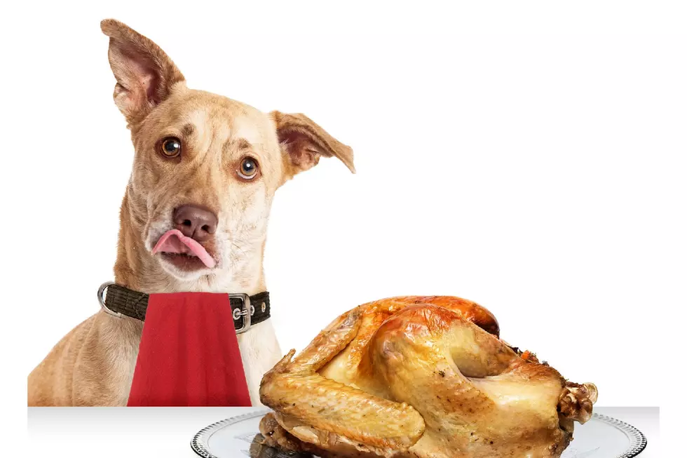 These Foods on the Thanksgiving Table Could Hurt Your Dog