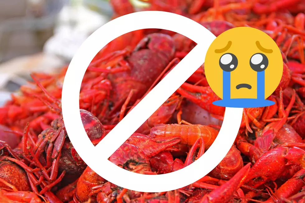 Could PETA Potentially Put an End to Crawfish Boils in Louisiana?