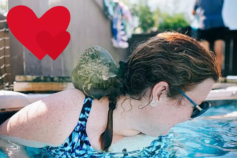 Animal Lovers Will Love Valentine’s Day Spent at Louisiana Farm