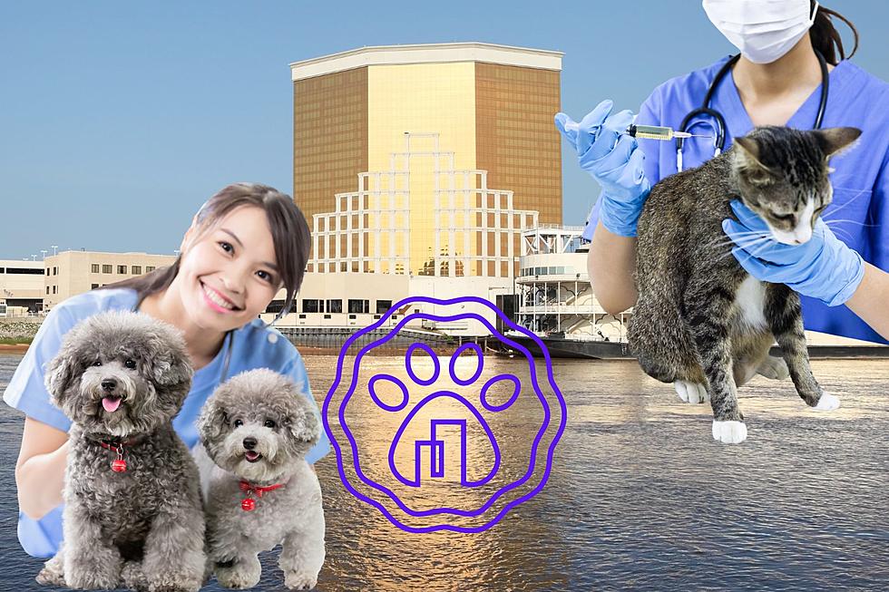 This is Great News for Bossier City, LA Small Animal Owners