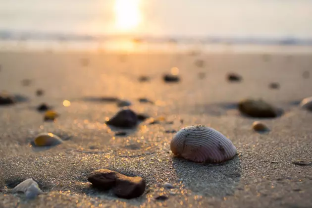 This Seashell Beach Has Been Kept a Secret by Louisiana Locals