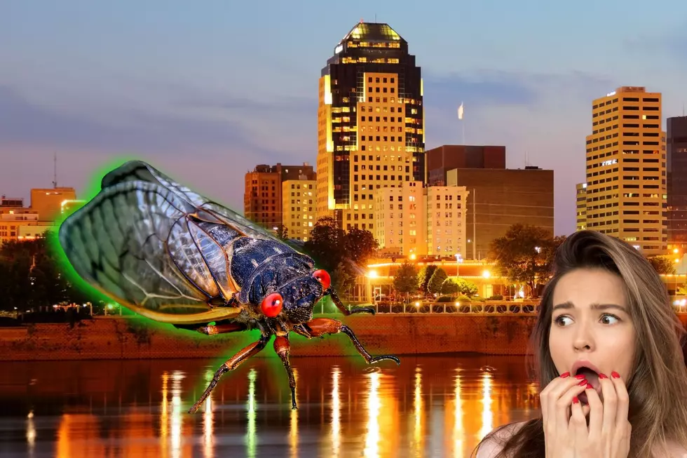 Are You Ready for the Cicada Invasion of Northwest Louisiana?