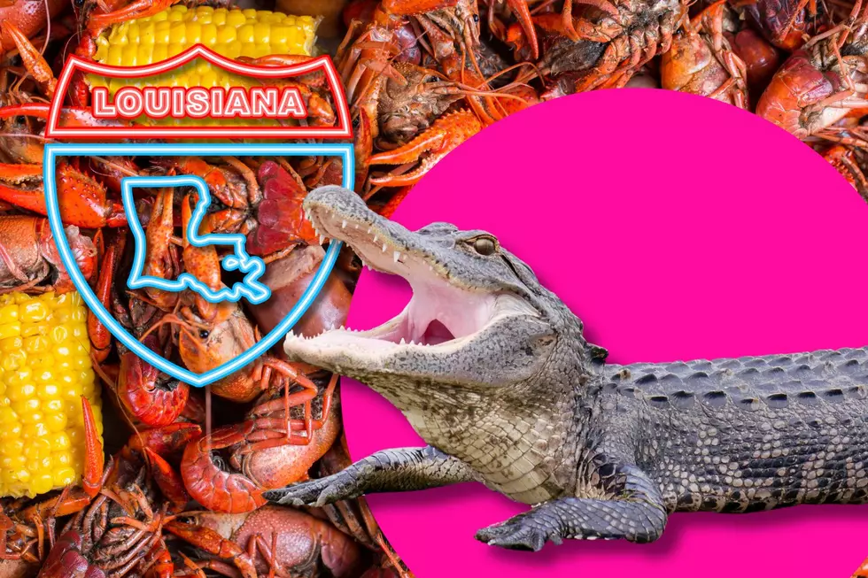 The 5 Things You Can Count On When Visiting Louisiana