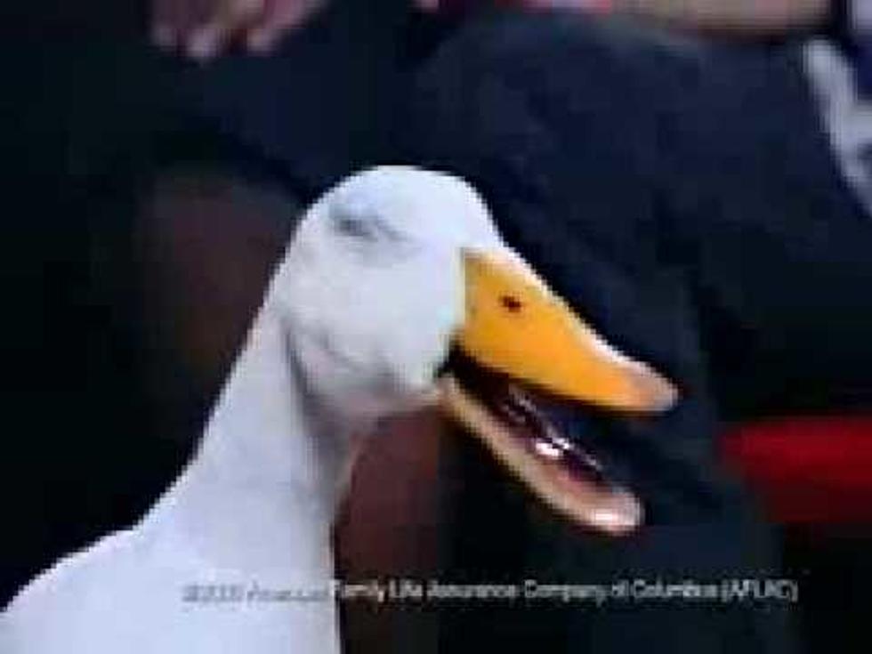 Open Auditions for Aflac Duck: I’m IN!