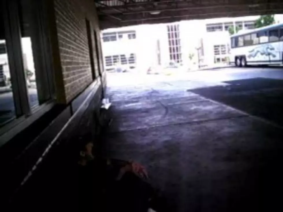 Transient at Shreveport Bus Station Puts New Meaning to Crazy Talk [VIDEO]