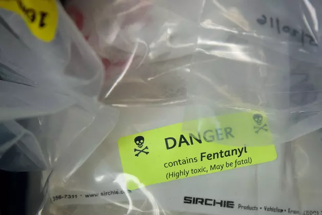 2 Men Plead Guilty to Smuggling Enough Fentanyl to Kill 5 Million