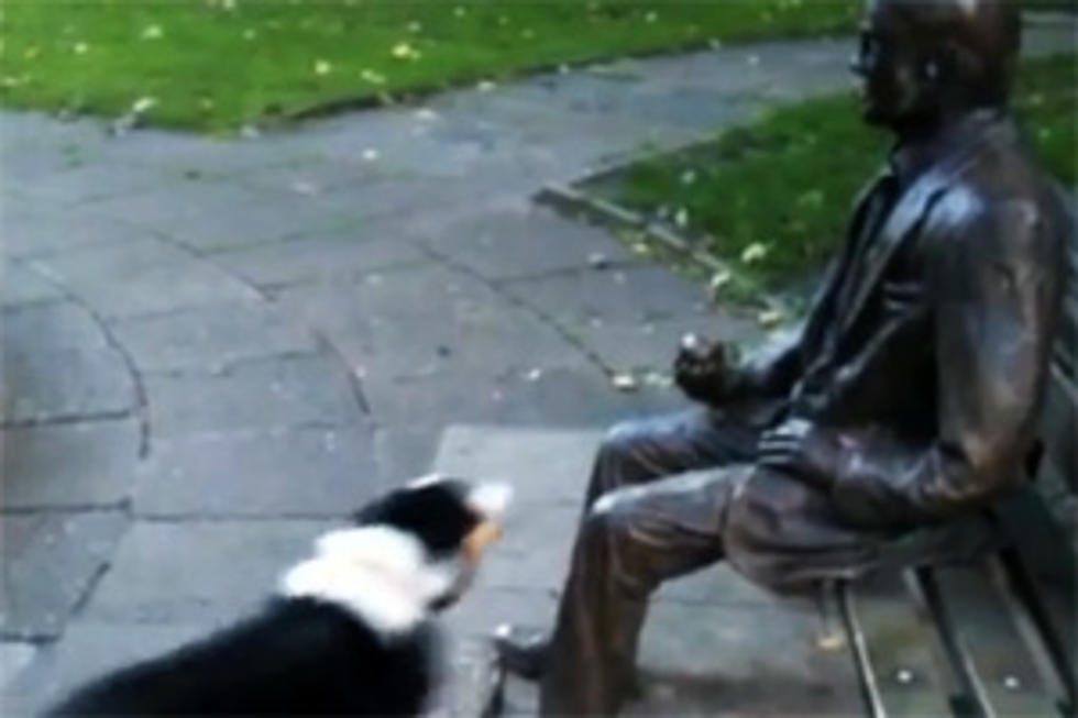 Why Can’t This Dog Get The Man to Throw The Stick? [VIDEO]