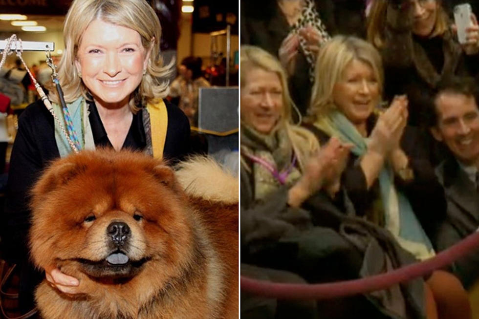 Martha Stewart’s Dog Wins Best in Breed at 2012 Westminster