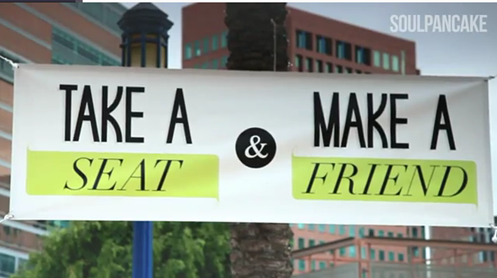 ‘Take a Seat & Make a Friend’ — This Video Will Brighten Your Day [VIDEO]