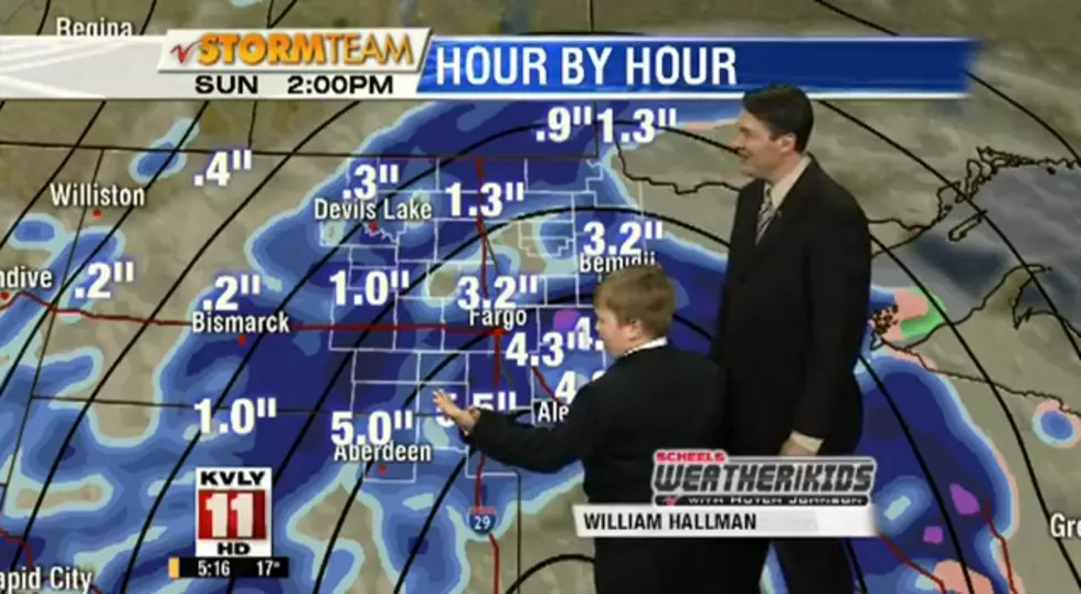 Kid Adorably Steals the Weather Man&#8217;s Job on a Live Newscast [VIDEO]