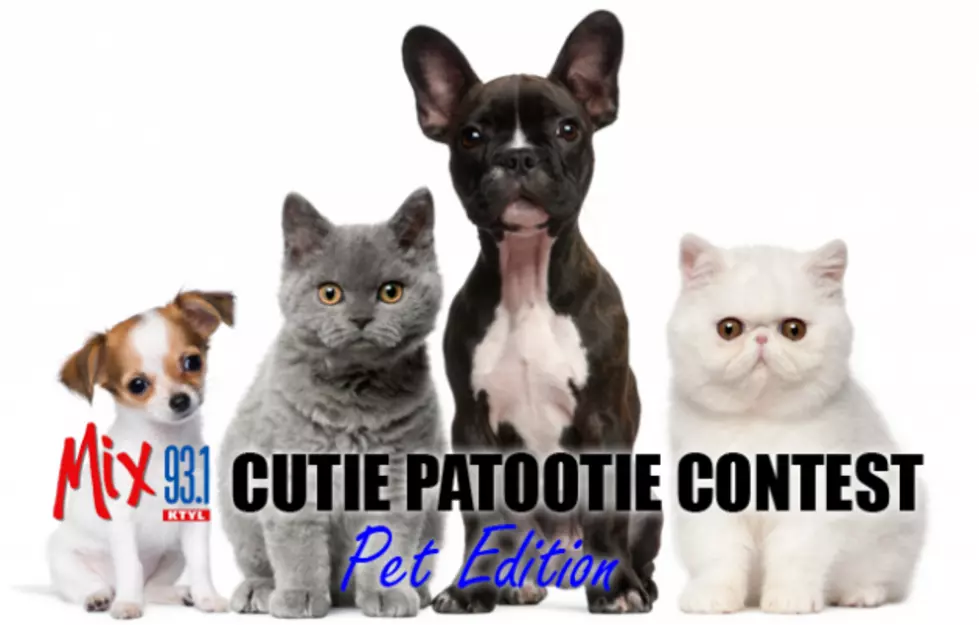 Mix 93-1 Cutie Patootie:  Pet Edition Winner
