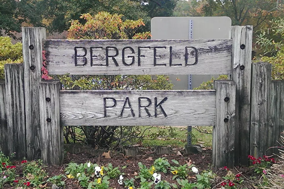 Tyler’s Bergfeld Park Getting A Facelift
