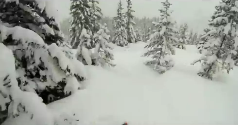 Skiers Wear GoPro + Zoom Through Forest at High Speeds [VIDEO]