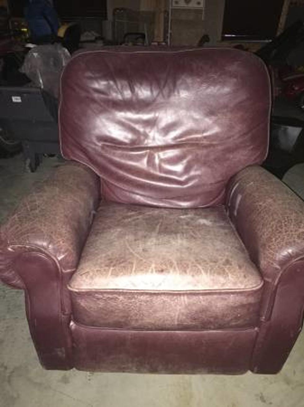 Free Stuff in East Texas Includes Furniture, Puppies, and Hog Bait
