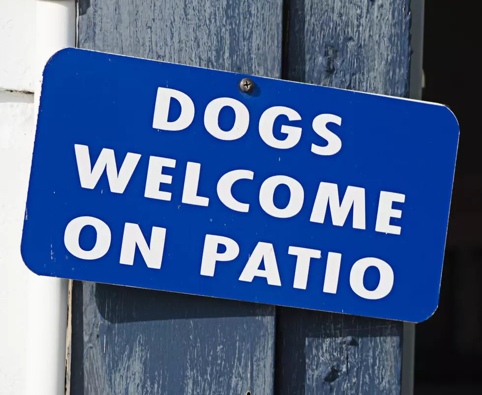 Hate Leaving Your Pup? Here Are Four Dog-Friendly Restaurants in Tyler