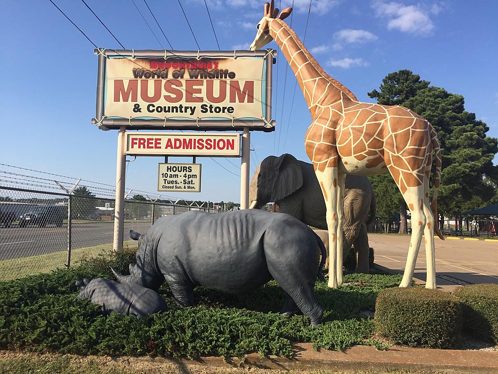 Brookshire’s World Of Wildlife Museum Remains Closed
