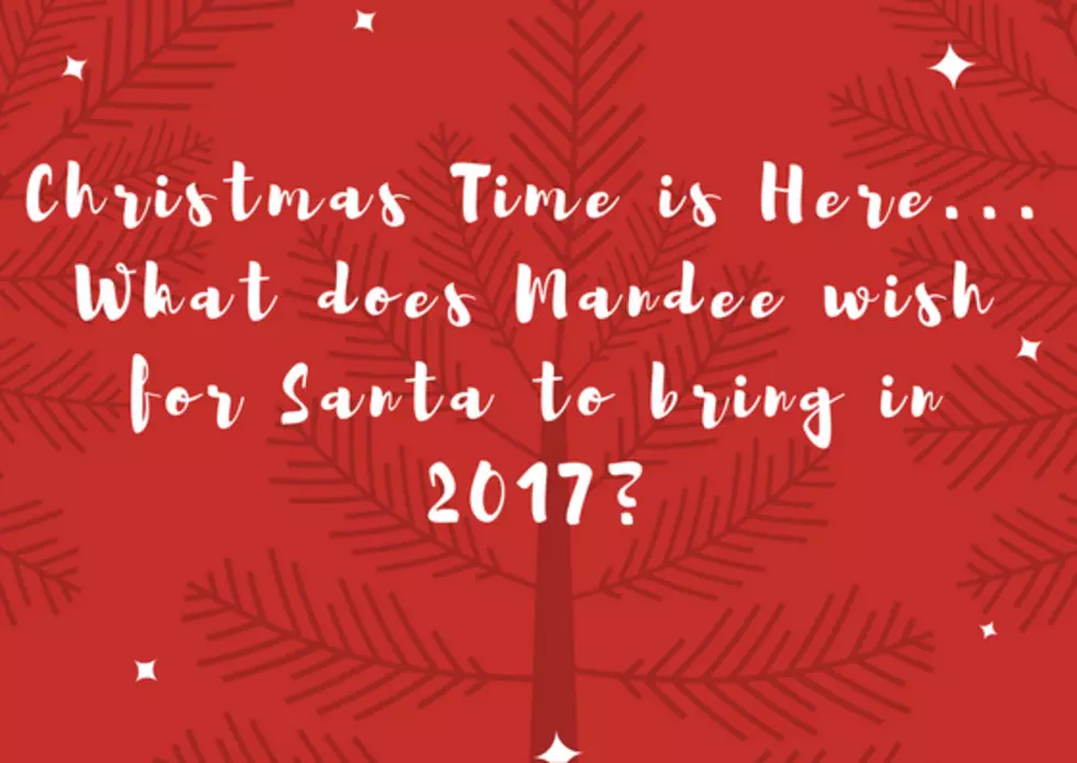 Mandee's Grown Up Christmas List