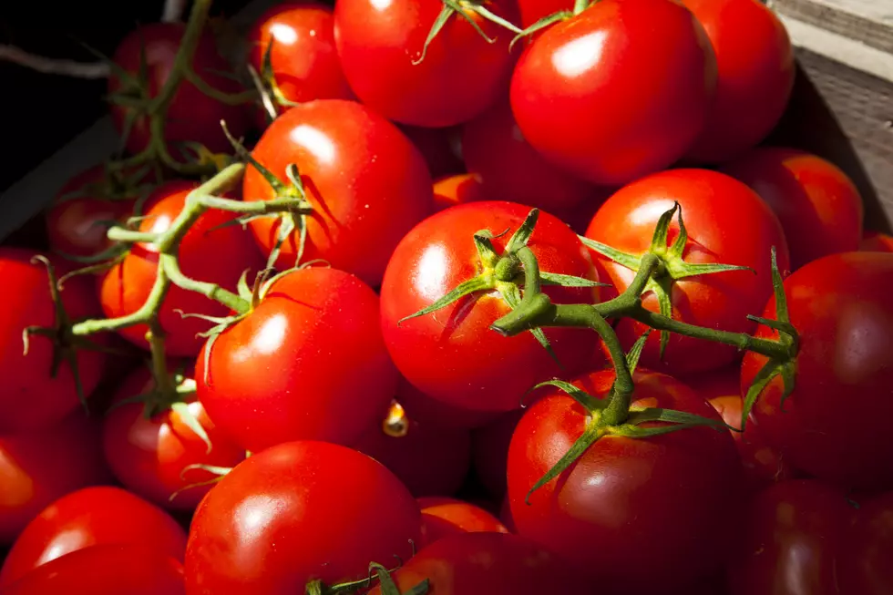 Jacksonville Will Celebrate The Tomato At The 37th Annual Tomato Fest On June 12th